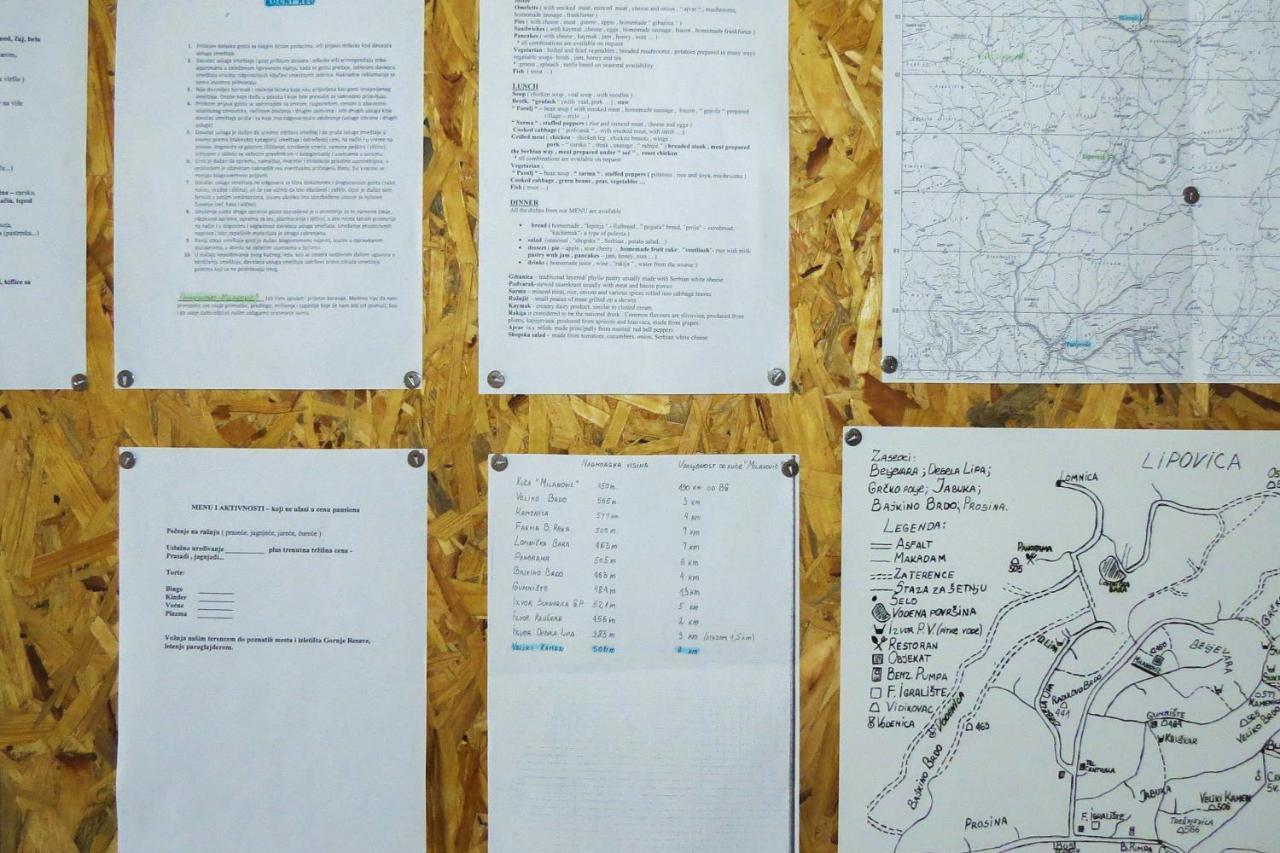 Eco Farm Milanovic Guest House Despotovac Bagian luar foto