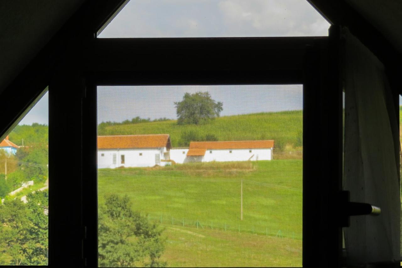 Eco Farm Milanovic Guest House Despotovac Bagian luar foto