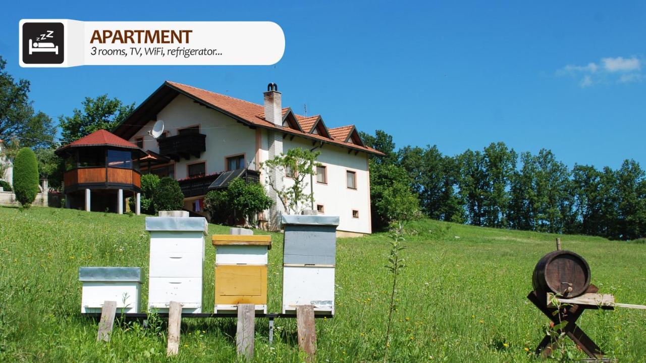 Eco Farm Milanovic Guest House Despotovac Bagian luar foto