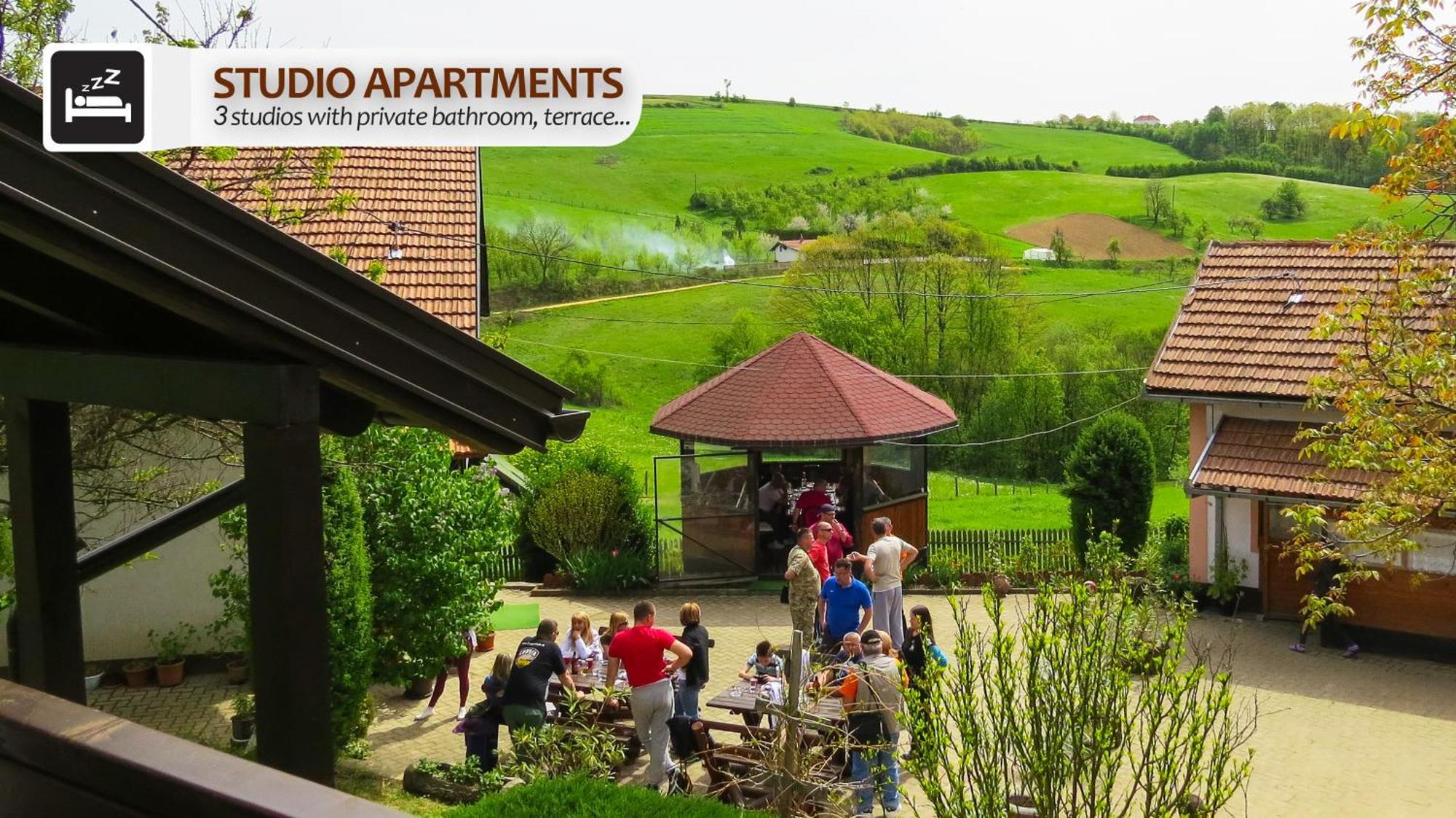 Eco Farm Milanovic Guest House Despotovac Ruang foto