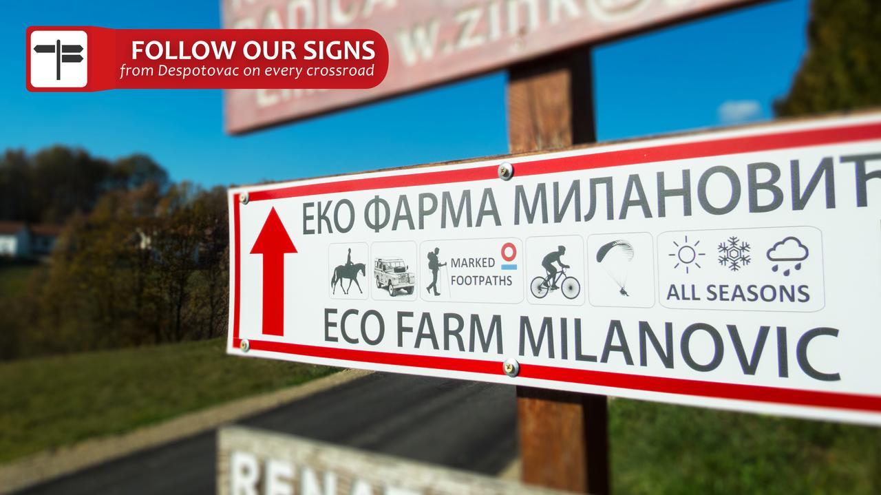Eco Farm Milanovic Guest House Despotovac Bagian luar foto