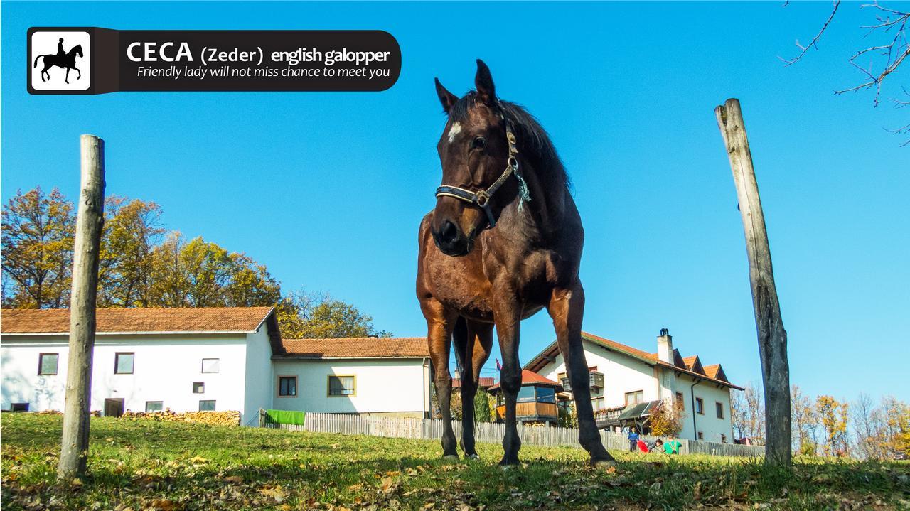 Eco Farm Milanovic Guest House Despotovac Bagian luar foto