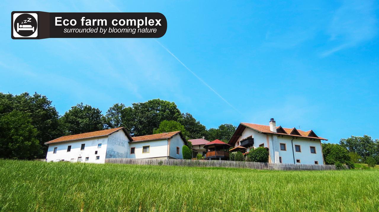 Eco Farm Milanovic Guest House Despotovac Bagian luar foto