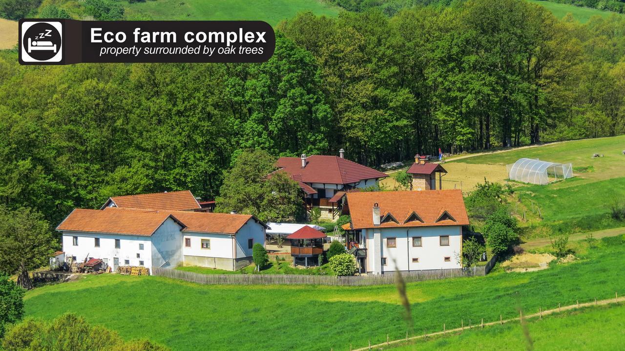 Eco Farm Milanovic Guest House Despotovac Bagian luar foto