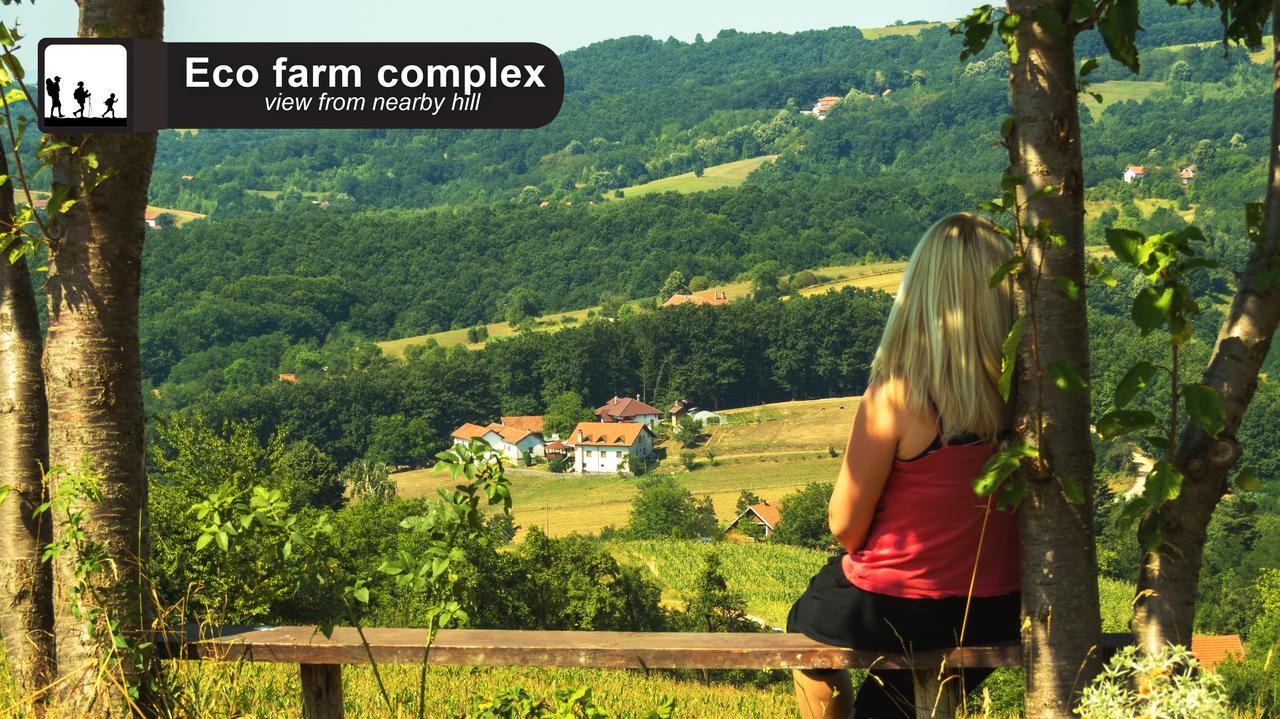 Eco Farm Milanovic Guest House Despotovac Bagian luar foto