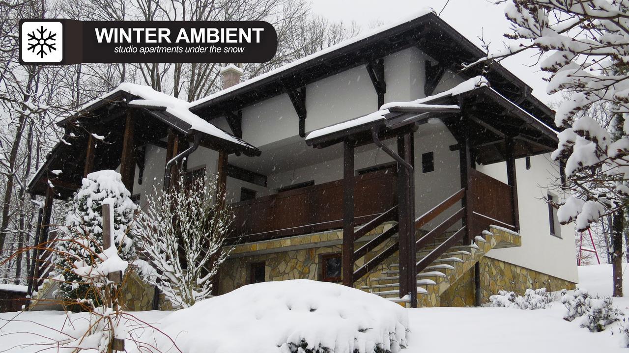 Eco Farm Milanovic Guest House Despotovac Bagian luar foto