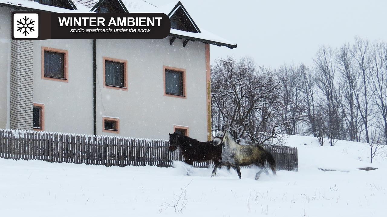Eco Farm Milanovic Guest House Despotovac Bagian luar foto